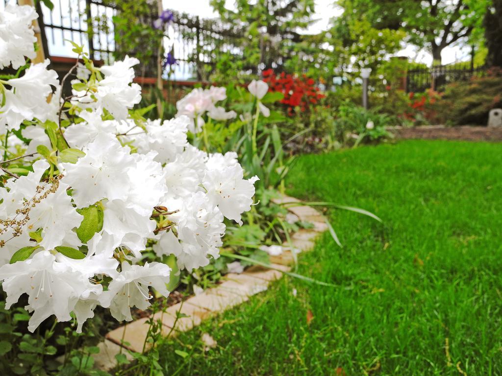 B&B Dimora Morelli Gubbio Exterior photo